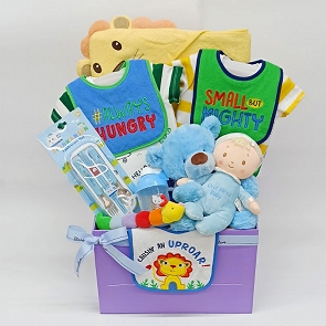 B314 男嬰兒禮物籃